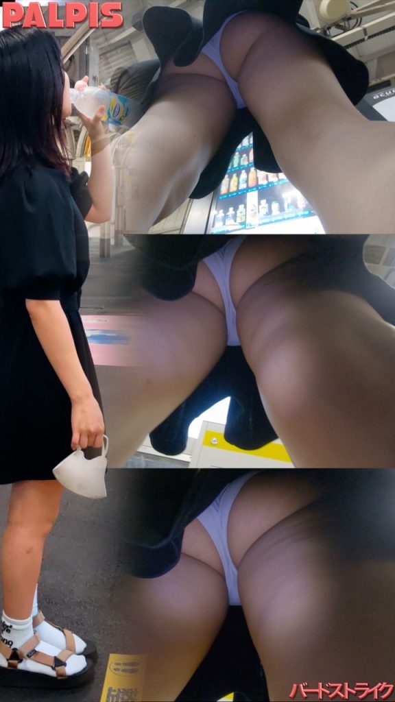 パンチラ盗撮＜バードストライク＞