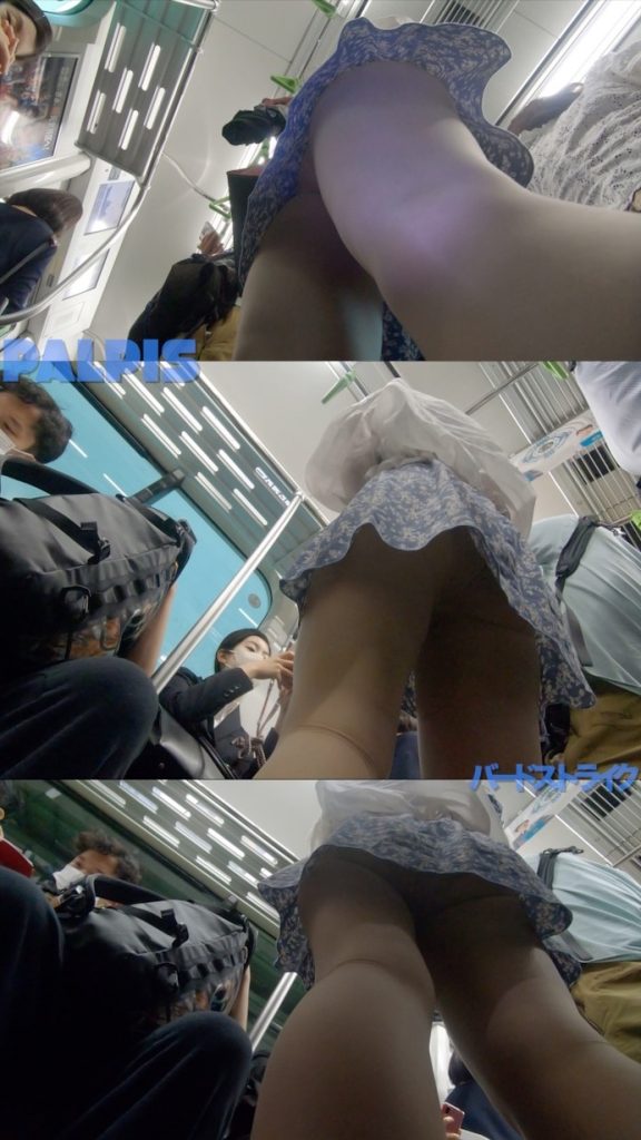 パンチラ盗撮＜バードストライク＞